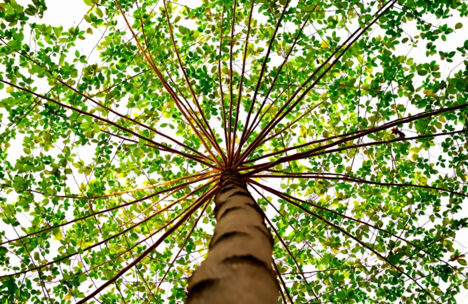Students engaged in online learning session
