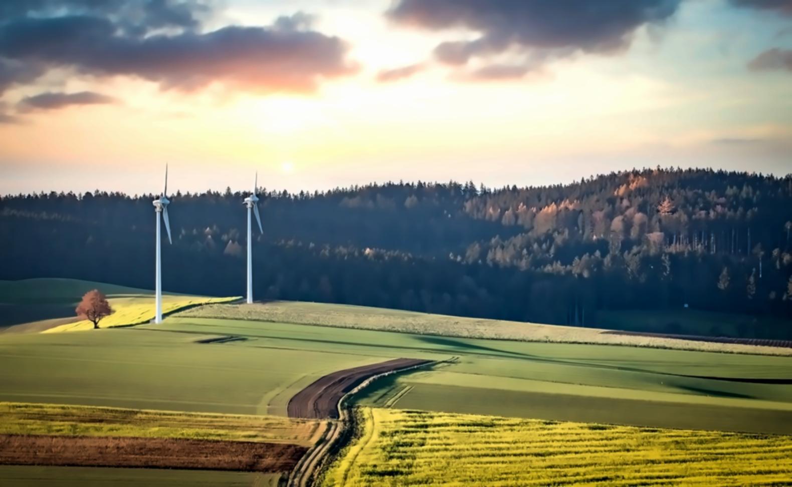 Comprehensive resource library with structured learning materials