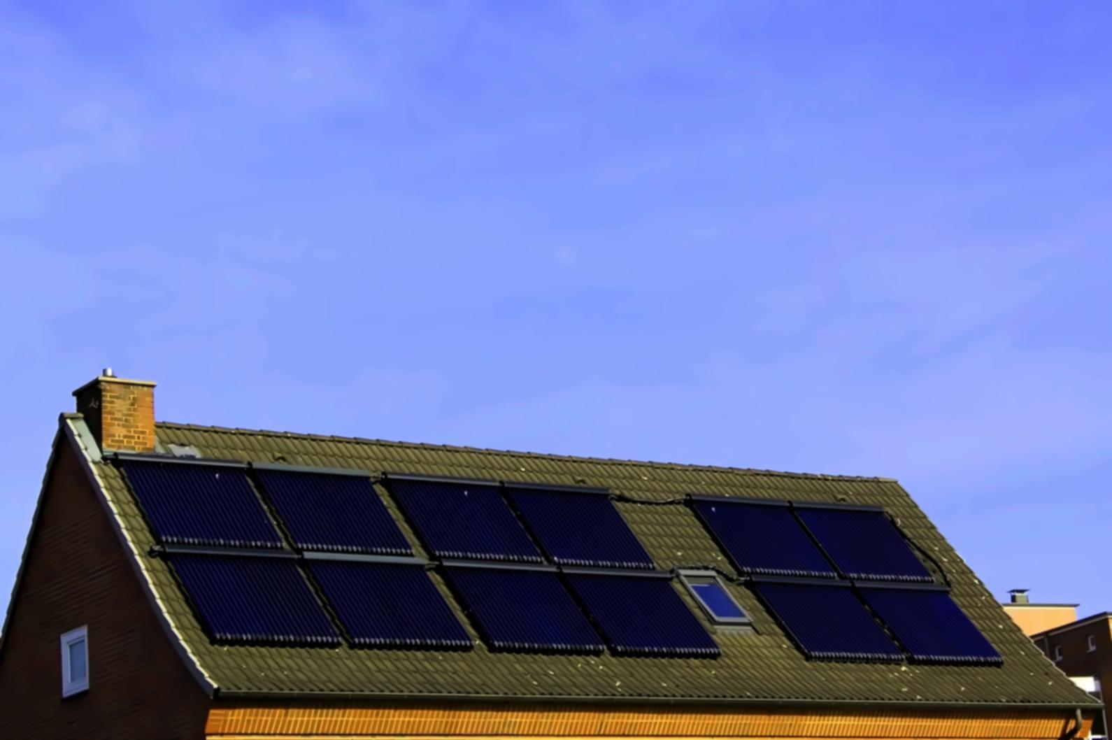 Population ecology field research and data collection